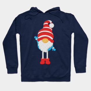 Funny Gnome Hoodie